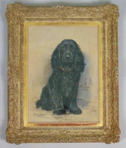 Marion Harvey 1886-1971 Portrait of a Black Spaniel (1 of 9)