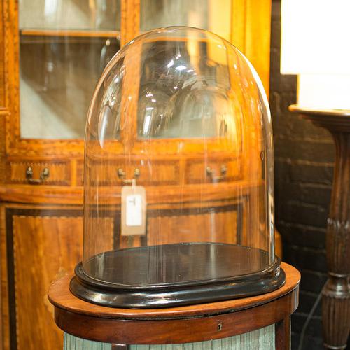 Large Antique Oval Display Dome, English Showcase, Taxidermy, Diorama, Victorian (1 of 8)