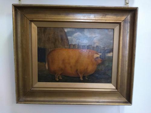 Naive Pig Portrait (1 of 4) Naive Pig Portrait (1 of 4)