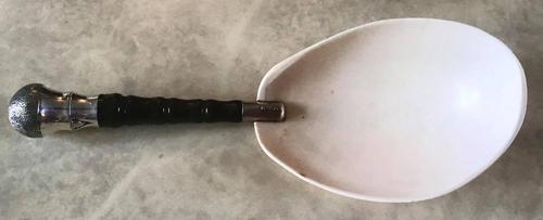 Large Hand Made Shell Spoon c.1880 (1 of 4) Large Hand Made Shell Spoon c.1880 (1 of 4)