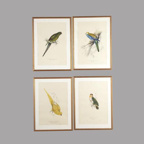 Set of Four 19th Century Bird Lithographs by Edward Lear (1 of 5) Set of Four 19th Century Bird Lithographs by Edward Lear (1 of 5)
