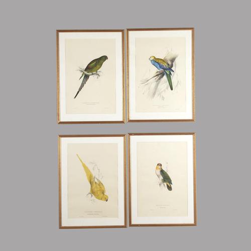 Set of Four 19th Century Bird Lithographs by Edward Lear (1 of 5)