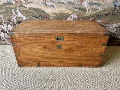 19th Century Camphor Wood Brass Bound Campaign Trunk (1 of 4)