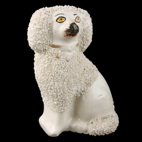 Victorian Staffordshire Pottery Poodle (1 of 6) Victorian Staffordshire Pottery Poodle (1 of 6)