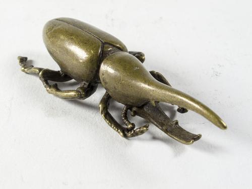Japanese Bronze Rhinoceros Beetle (1 of 4) Japanese Bronze Rhinoceros Beetle (1 of 4)