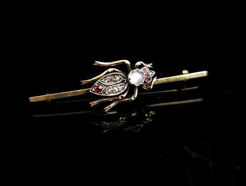 Victorian Beetle Brooch, Moonstone, Diamond, Ruby & Garnet, 15ct Gold, Boxed (1 of 12)