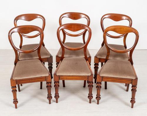 Set of 6 Mahogany Balloon Back Chairs (1 of 9)