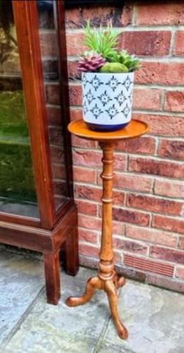 Victorian Birch Wood Plant Stand (1 of 6)