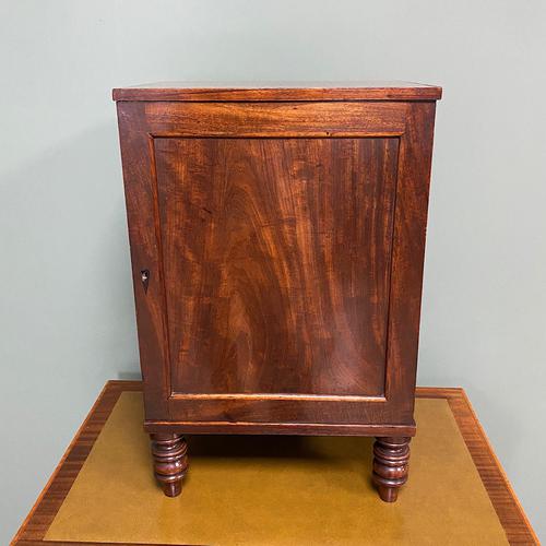 Spectacular Small Regency Antique Mahogany Collectors Cabinet (1 of 8)