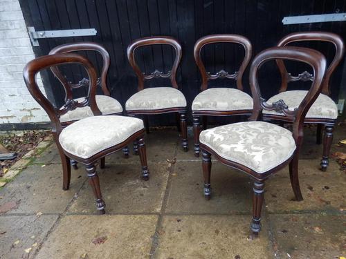 Set of 6 Balloon Back Dining Chairs (1 of 5)