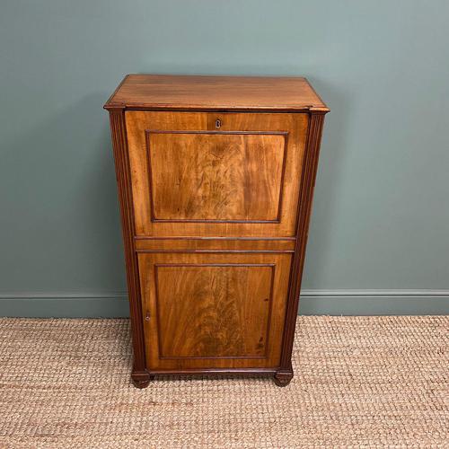 Regency Mahogany Antique Estate Cupboard with Fitted Interior (1 of 8)