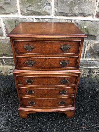 Antique Burr Walnut Chest of Drawers (1 of 8)