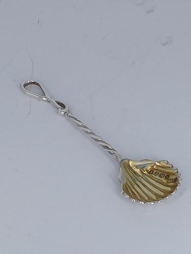 William IV Shell Design Silver Salt Spoon (1 of 7)