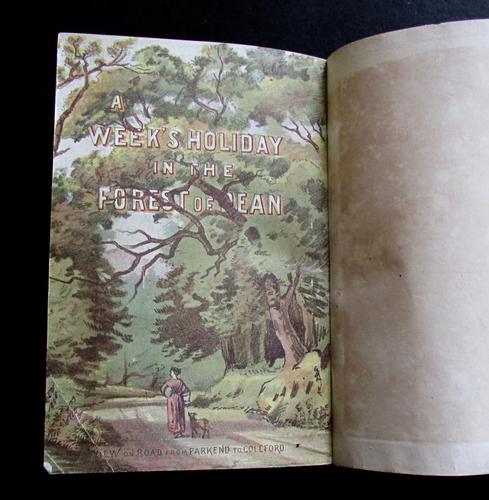 1880 A Week's Holiday in The Forest of Dean.  Rare 1st Edition, Coloured  Plates & Map (1 of 5)