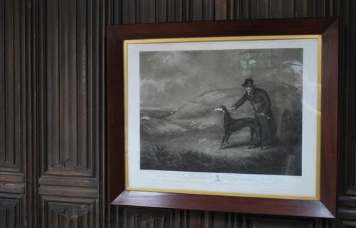 'Snowball the Greyhound' Framed Engraving (1 of 4) 'Snowball the Greyhound' Framed Engraving (1 of 4)