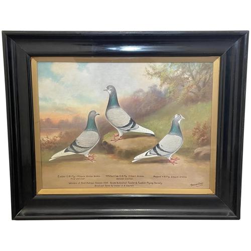 Ornithology Sporting Oil Painting 3 Racing Pigeons By William Andrew Beer C1929 (1 of 82)