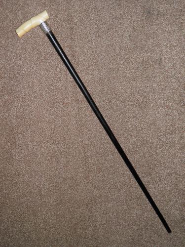 Antique Derby Handled Walking Stick With Hallmarked 1899 Silver Collar W.N (1 of 12)