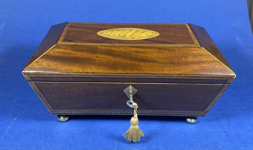 Regency Sarcophagus Mahogany Box with Shell Inlay. (1 of 12)