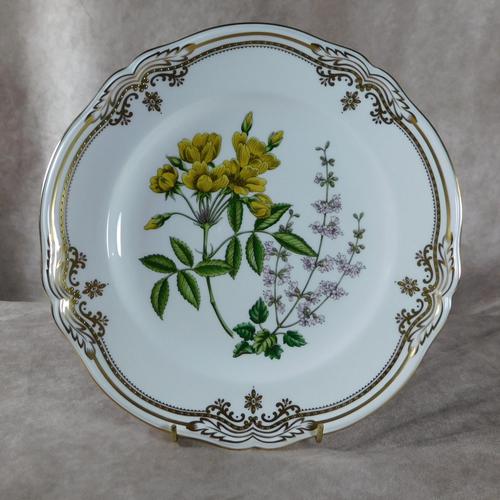 Stafford Flowers Pattern Plate by Spode (1 of 4)