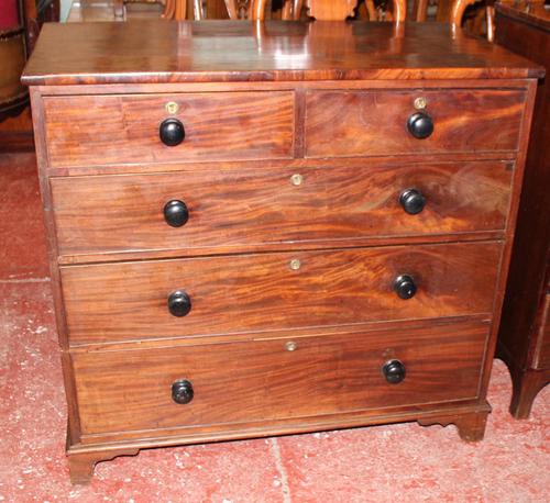 1880's Mahogany Plum Pudding Chest of Drawers (1 of 4)