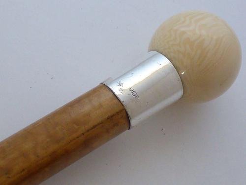 Walking Stick Cane 1916 Hallmarked Solid Silver Collar Tagua Nut Malacca Shaft (1 of 13)