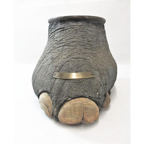 Victorian Mahogany & Brass Mounted Rhino Foot Decanter Holder (1 of 8) Victorian Mahogany & Brass Mounted Rhino Foot Decanter Holder (1 of 8)