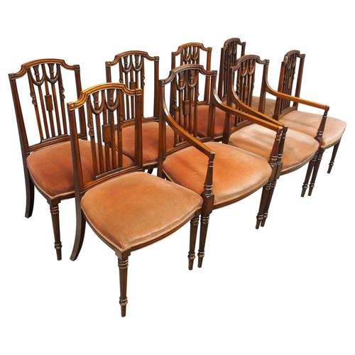 Set of 8 Hepplewhite Style Dining Chairs (1 of 11) Set of 8 Hepplewhite Style Dining Chairs (1 of 11)