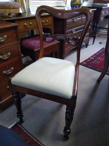 6 William IV Rosewood Dining Chairs (1 of 5) 6 William IV Rosewood Dining Chairs (1 of 5)