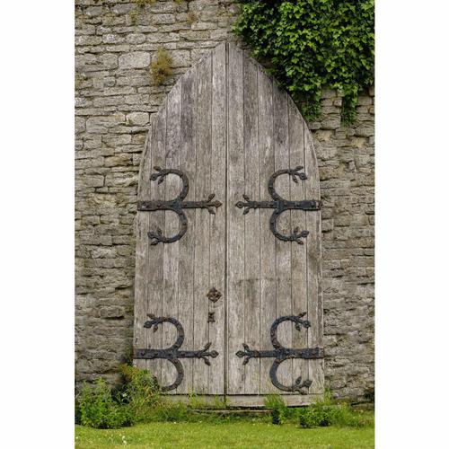 Pair of Mid 19th Century Oak Arched Doors (1 of 2) Pair of Mid 19th Century Oak Arched Doors (1 of 2)