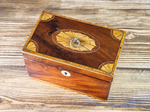 Georgian Mahogany Tea Caddy c.1820 (1 of 9)