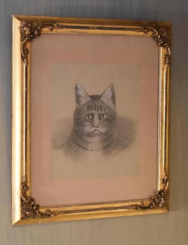 Superb Victorian 'grumpy Cat' Pastel Drawing (1 of 10)