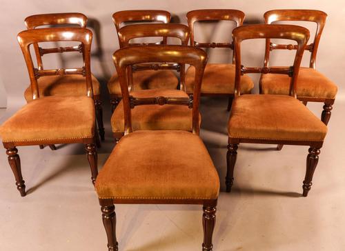 Set of 8 William IV Dining Chairs  Mahogany (1 of 12)