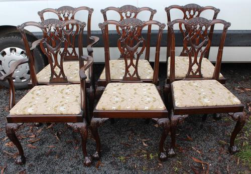 1900's Quality Mahogany Set of 6 Georgian style Dining Chairs with Pop out Seats (1 of 4)