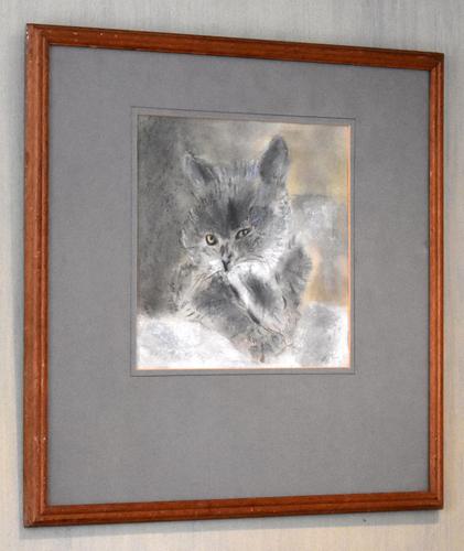 Characterful pastel drawing of a cat (1 of 4) Characterful pastel drawing of a cat (1 of 4)