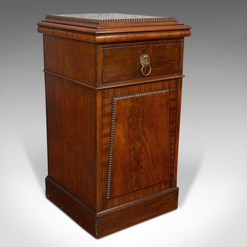 Tall Antique Side Cabinet, English, Mahogany, Bedside, Nightstand, Regency, 1820 (1 of 12)