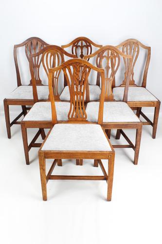 Harlequin Set of 6 Antique Ash & Elm Dining Chairs (1 of 13)