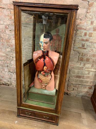 1910 Anatomical Medical Figure (1 of 9)