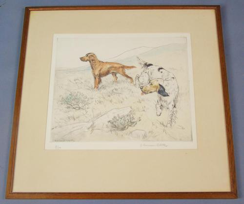 Gun Dogs Hunting G Vernon Stokes Signed Limited Edition Spaniel (1 of 7)