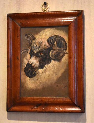 Sheep Portrait Oil Painting by H.Windred (1 of 7)