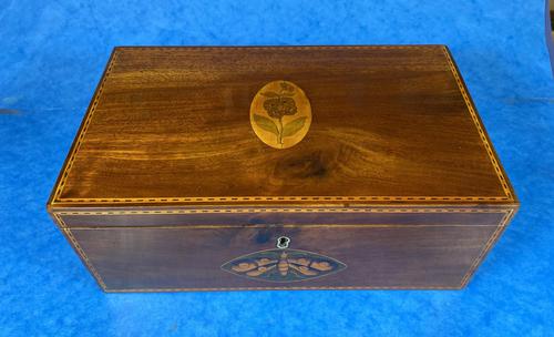 George III Solid Mahogany Box With Wonderful Inlaid Panels (1 of 18) George III Solid Mahogany Box With Wonderful Inlaid Panels (1 of 18)