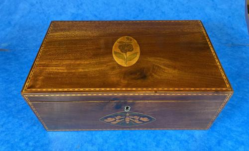 George III Solid Mahogany Box With Wonderful Inlaid Panels (1 of 18)