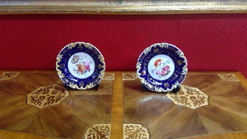 Pair of Ridgways Porcelain Decorated Botanical Plates (1 of 5) Pair of Ridgways Porcelain Decorated Botanical Plates (1 of 5)