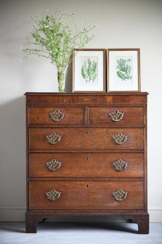 Georgian Oak Chest of Drawers (1 of 12)