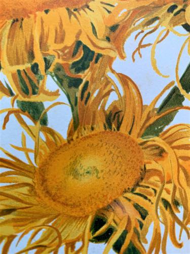 Pure Sunshine 'Inula Roylei' Chromolithograph 1903 (1 of 4) Pure Sunshine 'Inula Roylei' Chromolithograph 1903 (1 of 4)