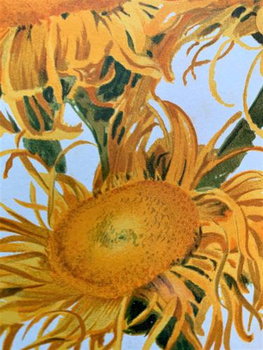 Pure Sunshine 'Inula Roylei' Chromolithograph 1903 (1 of 4)