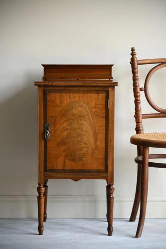 Edwardian Mahogany Pot Cupboard (1 of 9)