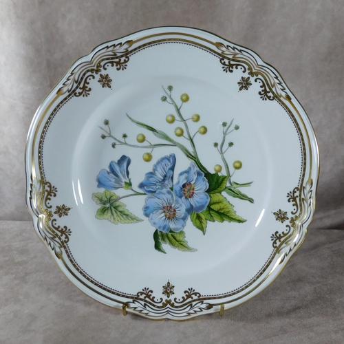 Stafford Flowers Pattern Plate by Spode (1 of 4) Stafford Flowers Pattern Plate by Spode (1 of 4)