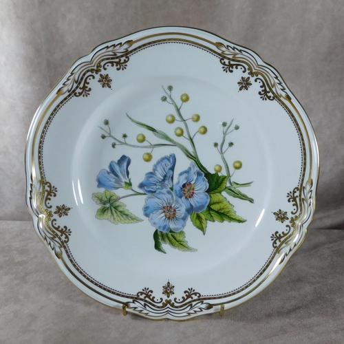 Stafford Flowers Pattern Plate by Spode (1 of 4)