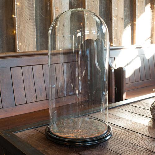 Antique Taxidermy Dome, English, Glass, Collectible, Display Showcase, Edwardian (1 of 7) Antique Taxidermy Dome, English, Glass, Collectible, Display Showcase, Edwardian (1 of 7)