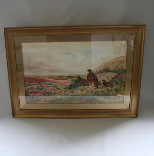 Pair of Gilt Framed Watercolour Paintings of Grouse (1 of 9)